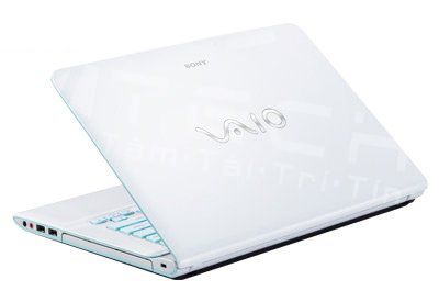 Sony Vaio E Sve15117Fg