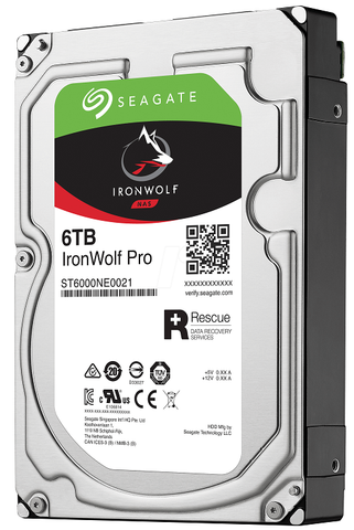 Seagate Ironwolf Pro 6Tb St10000Ne0004