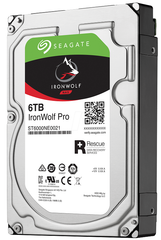  Seagate Ironwolf Pro 6Tb St10000Ne0004 