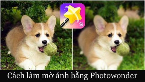 Cách làm mờ ảnh bằng Photo Wonder cực nhanh, đơn giản