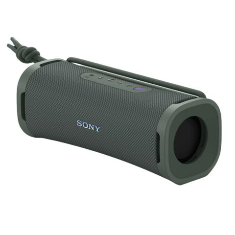 Loa Sony ULT Field 1 (Forest Gray)
