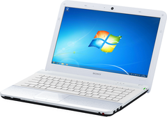 Màn Hình Lcd Laptop Sony Vaio Vgn-Fw390Yfb 
