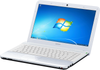 Màn Hình Lcd Laptop Sony Vaio Vgn-Fw390Yfb