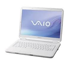 Sony Vaio Vgn-Ns52Jb