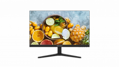  Màn hình HIKVISION DS-D5024FN11 