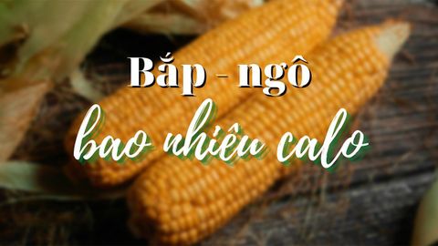 Ngô - bắp bao nhiêu calo? Ăn ngô có béo không và những lưu ý khi ăn ngô