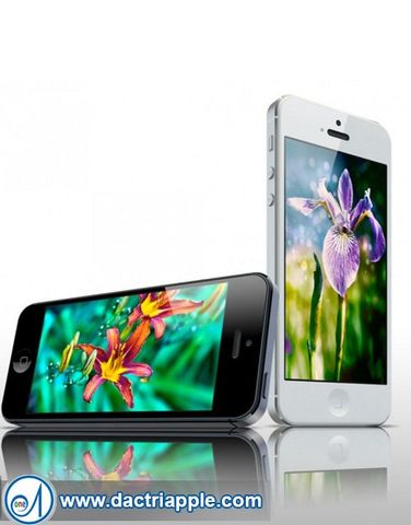 iPhone 5 care center