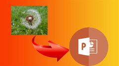  Cách chèn ảnh vào Powerpoint cực đơn giản, chi tiết cho mọi phiên bản 