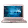 Màn Hình Lcd Laptop Sony Vaio Vgn-Cr420