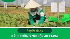 Bách Hóa Xanh tuyển dụng Kỹ Sư Nông Nghiệp 4K Farm: Mức lương thưởng cùng nhiều chính sách đãi ngộ hấp dẫn 