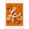 Máy Tính Bảng Apple Ipad Mini 5 7.9-inch Wi-fi 256gb Silver