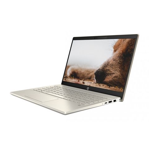 HP Pavilion 14-ce3019TU 8QP00PA