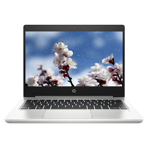 HP ProBook 430 G6 (6UX78PA)