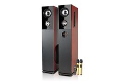  Cặp loa tháp Mozard M112 100W 