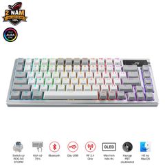  ASUS ROG Azoth Trắng NX Red (OLED/WL/PBT) 