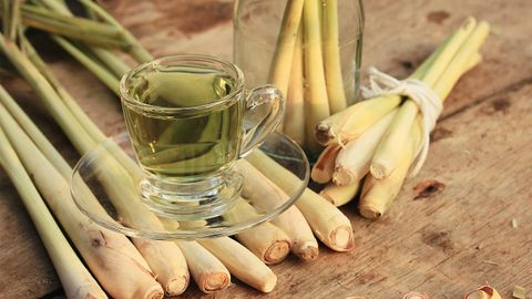 12 tác dụng tuyệt vời của nước sả đến sức khoẻ có thể bạn chưa biết