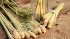  12 tác dụng tuyệt vời của nước sả đến sức khoẻ có thể bạn chưa biết 