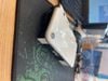 iPhone XR 64GB White