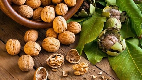 Mách bạn cách bảo quản hạt óc chó và các lưu ý khi bảo quản hạt óc chó