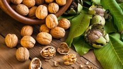  Mách bạn cách bảo quản hạt óc chó và các lưu ý khi bảo quản hạt óc chó 