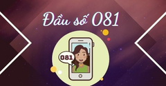 Đầu số 081 là mạng gì? Ý nghĩa của đầu số 081? Có phải số may mắn? 