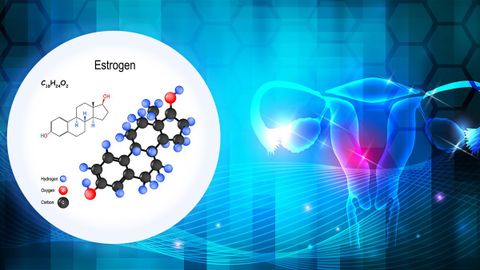Estrogen là gì, có vai trò gì? Tác dụng của estrogen đối với cơ thể