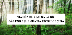  Tia hồng ngoại xa là gì? Các ứng dụng của tia hồng ngoại xa 