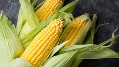  Cách bảo quản bắp ngô tươi, bắp đã luộc, bắp rang đơn giản và hiệu quả 