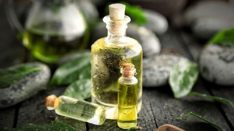 Tinh dầu trà xanh là gì? Tác dụng của tinh dầu trà xanh, cách dùng, nơi bán