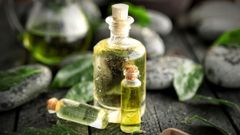  Tinh dầu trà xanh là gì? Tác dụng của tinh dầu trà xanh, cách dùng, nơi bán 