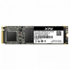  Ssd Adata Xpg Sx7000 256Gb (M.2 80Mm, Pcie 3.0 X4) 