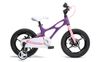 Xe đạp trẻ em Fornix Warrior 20 inch