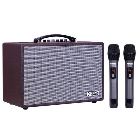 Loa Karaoke Acnos Cs160