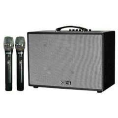  Loa Karaoke Acnos Cs251pu 