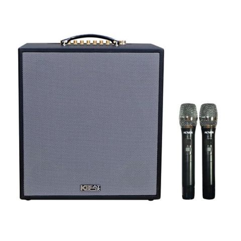 Loa Karaoke Acnos Cs300