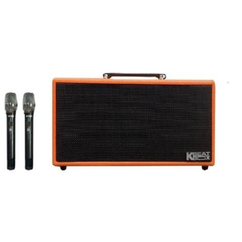 Loa Karaoke Acnos Ks362d | Orange