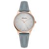 Đồng hồ Nữ Skagen SKW2909