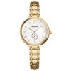 Đồng hồ Nữ Skagen 456SRR1