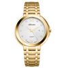Đồng hồ Nữ Anne Klein AK/1868GBST