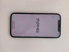  Điện thoại iPhone 12 256GB Blue 