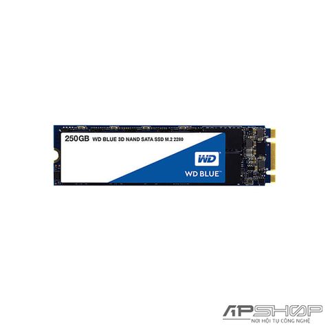 SSD Western Digital WD Blue 3D NAND M.2 Sata 250GB