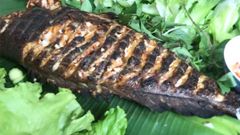  Cách làm cá mú nướng sa tế cay ngon đậm đà đãi tiệc thầy cô ngày 20/11 