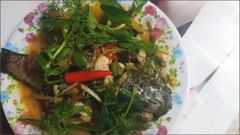  Cách làm cá lóc kho cà chua ngon đậm đà dễ làm cho bữa cơm gia đình 