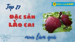  Top 27 đặc sản Lào Cai làm quà tuyệt phẩm thơm ngon khó cưỡng 