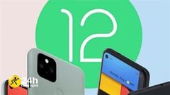  Danh sách các mẫu điện thoại đủ điều kiện nâng cấp Android 12 Beta ngay từ hôm nay, lên trải nghiệm giao diện đẹp cực 