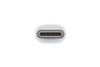 Adapter chuyển đổi Type-C Apple MJ1K2