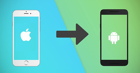 Cách chuyển danh bạ từ iPhone sang Android đơn giản, nhanh chóng