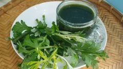  Cách làm nước ép ngải cứu thanh mát tốt cho sức khỏe 