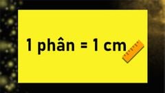  1 phân bằng bao nhiêu cm, mm, dm, m, km, thước, tấc, ly? 