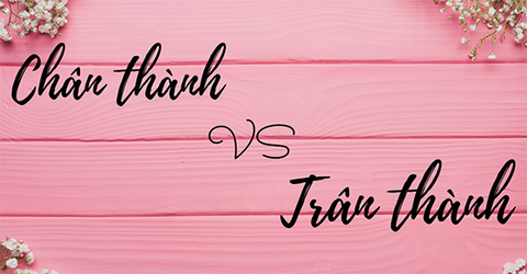 Chân thành hay trân thành, từ nào mới là đúng chính tả? Cách dùng đúng
